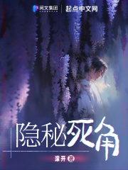 隐秘死角实力划分