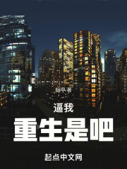 重生之我要冲浪
