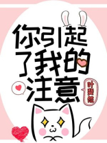 你引起了我的注意讲的什么