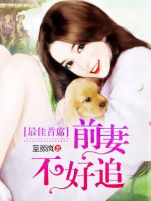 最佳前妻小说