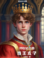 我在法兰西当王太子笔趣阁