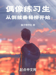 偶像倒追粉丝,小说