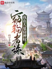 我在大夏窃神权小说