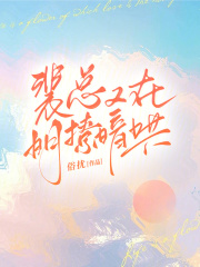 裴总是哪部什么电视剧