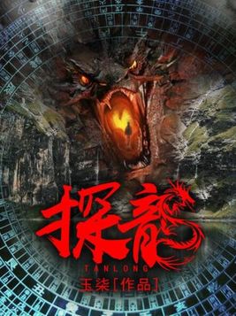 探龙小说免费阅读