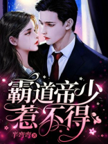 霸道帝少惹不得免费听书