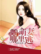 误入豪门萌妻哪里逃