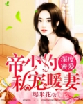 帝少的私宠甜妻