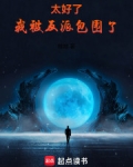 太好了,我被反派包围了