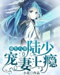 重生八零:陆少宠妻上瘾