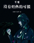 可惜,没有炽热的可能