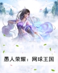愚人荣耀:网球王国
