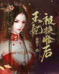 王妃被换脸后