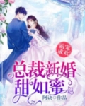 总裁新婚甜如蜜