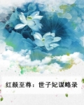 红颜至尊:世子妃谋略录