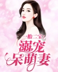 一胎二宝:溺宠呆萌妻