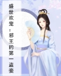 盛世欢宠:邪王的第一盗妾