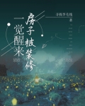 一觉醒来房子被装修
