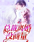 总裁离婚没商量
