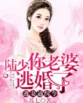 陆先生,你命里缺我