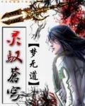 灵驭苍穹