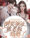 刚要领证被老板劫婚了