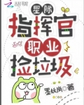 星际指挥官,职业捡垃圾
