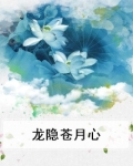 龙隐苍月心