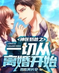神医奶爸之一切从离婚开始