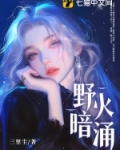 野火暗涌