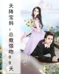 天降宝妈:总裁强吻99天