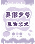 真少爷失忆后被假少爷捡回家了