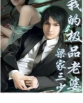 我的极品老婆
