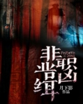 非职业缉凶