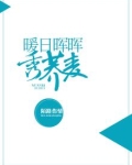暖日晖晖秀荞麦