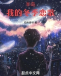 半岛:我的冬季恋歌