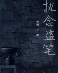 执念盗笔