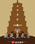 知否:我是皇太子