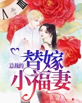 总裁的替嫁小福妻
