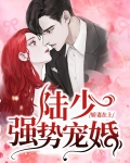 娇妻在上:陆少强势宠婚