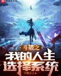 斗破之我的人生选择系统