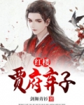 红楼之贾府弃子