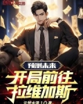 预测未来,开局前往国外