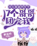 功夫萌崽四岁半,17个哥哥团宠我