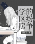学区房的纷争