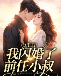 分手后,我闪婚了前任小叔