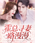 霍总寻妻路漫漫