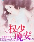宠妻101式:权少,晚安!