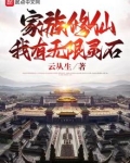家族修仙:我有无限灵石