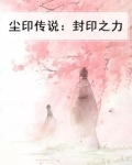 尘印传说：封印之力